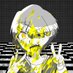ｶﾌｪｵﾚﾊﾟｧﾗﾀﾞｧｲｽ