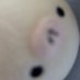 もちぴ