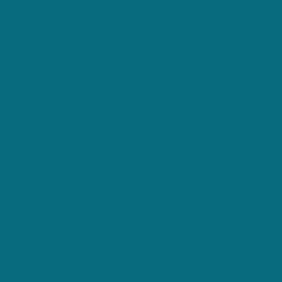 猫ちゃんの後頭部