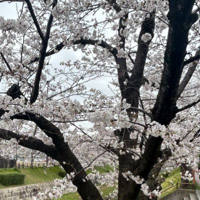 みかげ