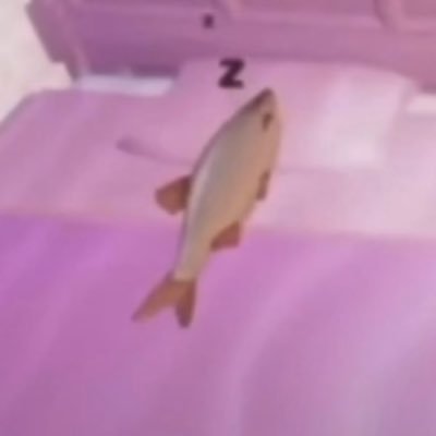 没所谓