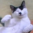 るいす