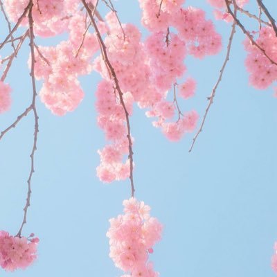 あゆ