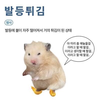 드디어 이름 바꿔주냐!