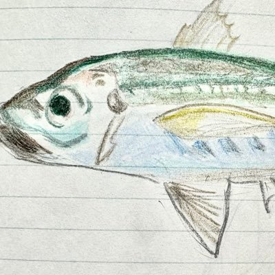 アジ田小サバ/Cosaba Ajita