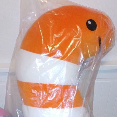 ニシキアナゴ