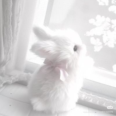 ?⸝⋆