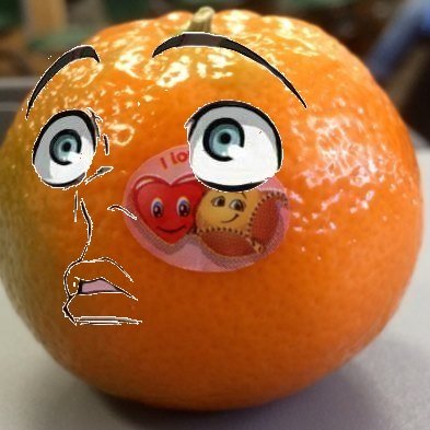Citrus sinensis