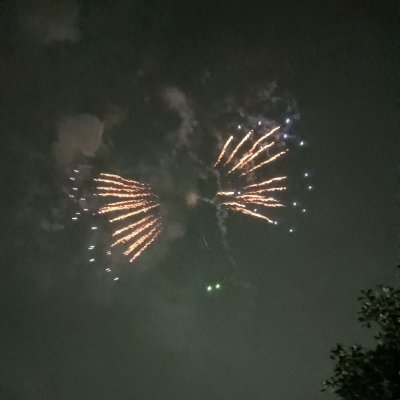 宇宙猫