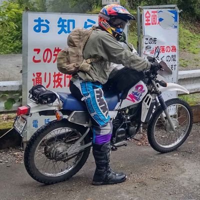 橿(カシ)