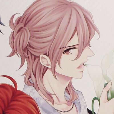 びすけっと