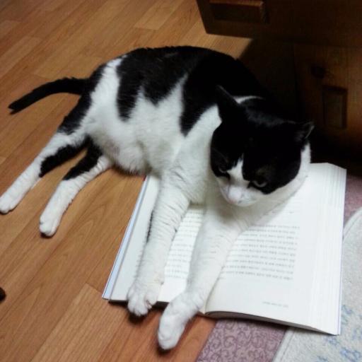ﾛｰ卒戦線異状なし