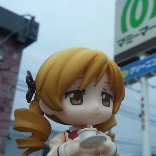 とるこいし。