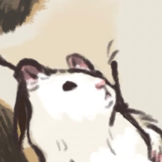 たんぼ