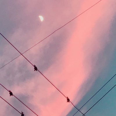 芥子