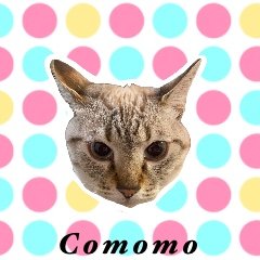 コモたん