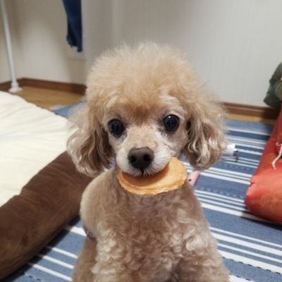 よぎ