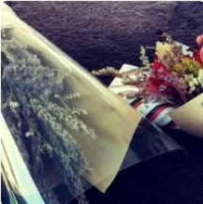 悼花touka