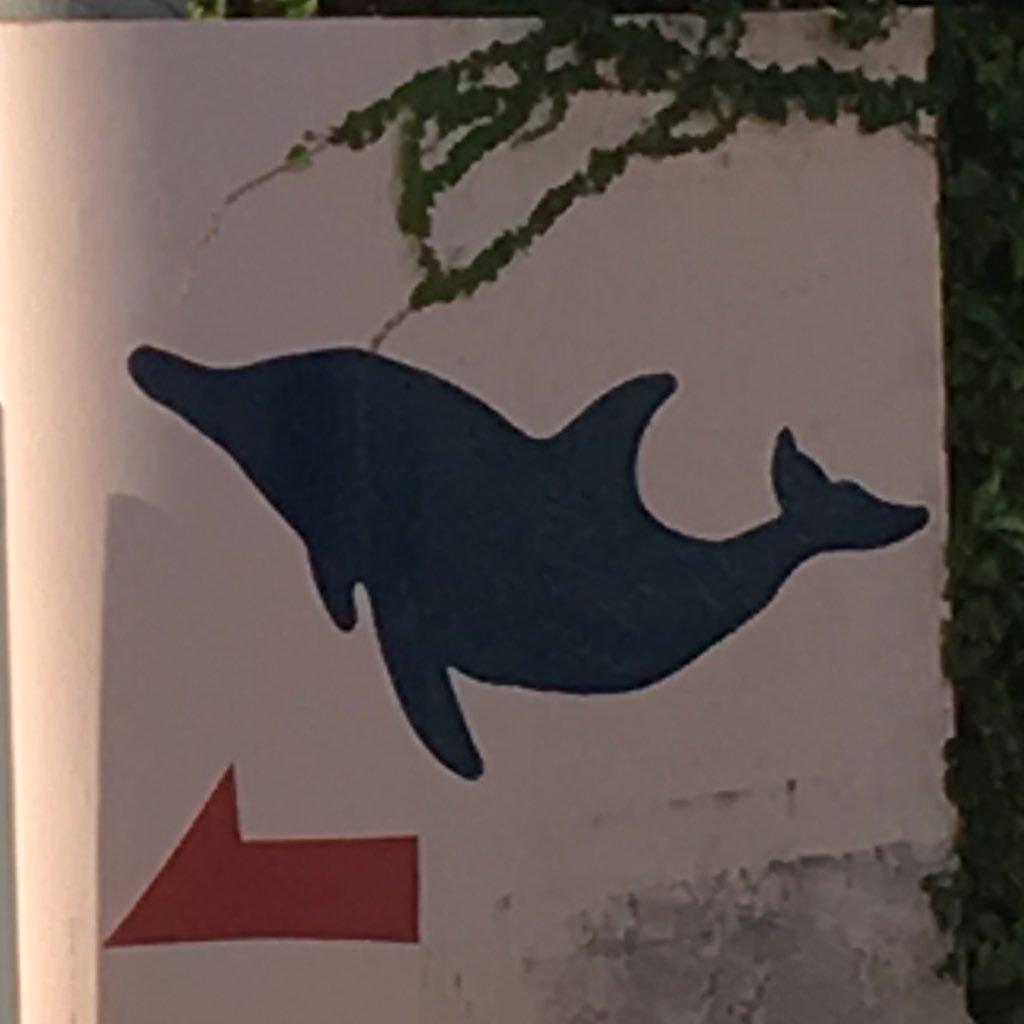わごむ