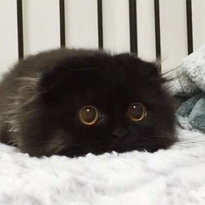 ing