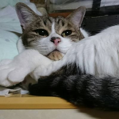 雪(せつ