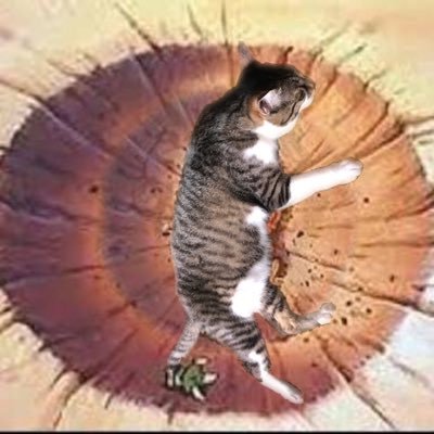 しちりん