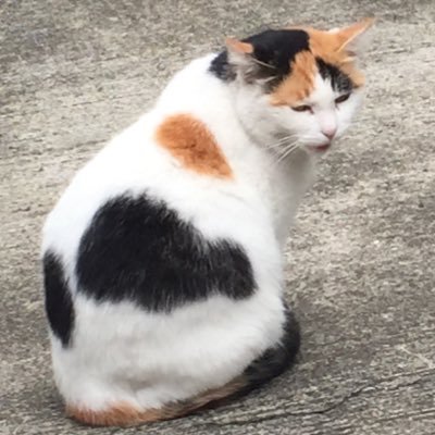 絞りカス