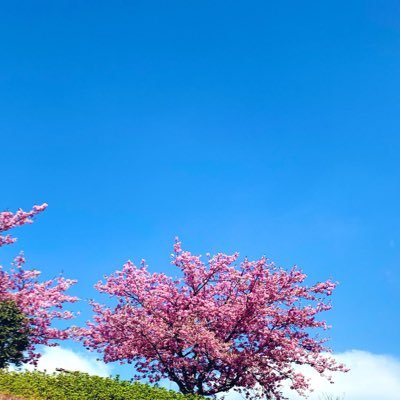 暁