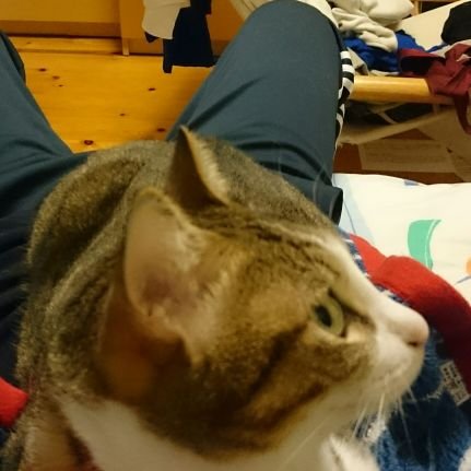 こばやし…