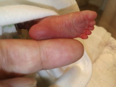 くぅたん＠一堂蘭丸