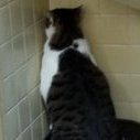 みつお