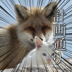 用高