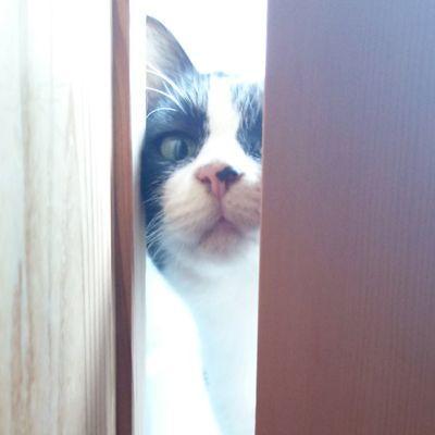とあるめがね（ひ◎×や□こ）