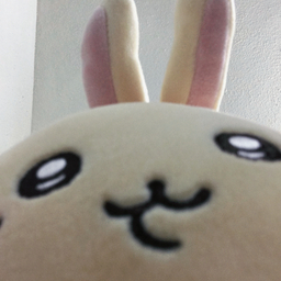 Ruriki
