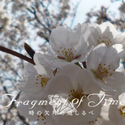Fragment of Time