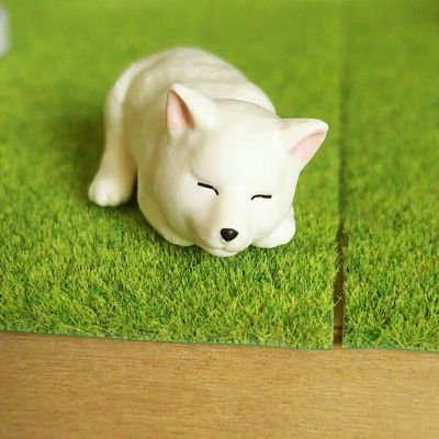 ゴメ