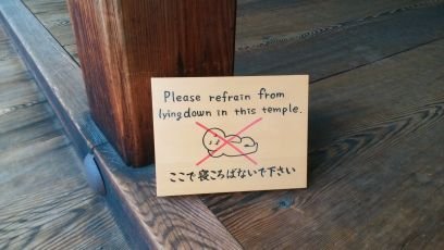 ノッコ