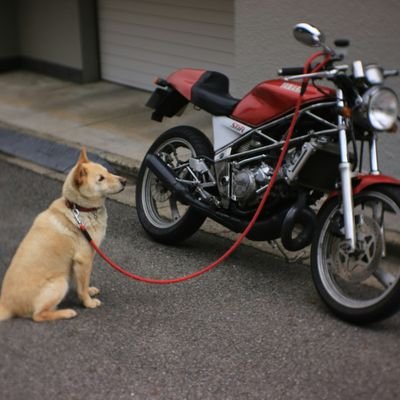 5000兆ストロークエンジン