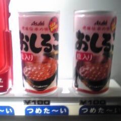 カメの子07_