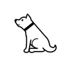 白dog