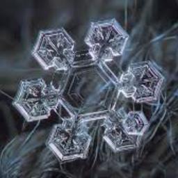 Glaphox