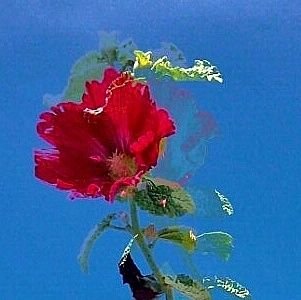 蘇芳