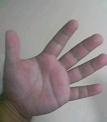 Lefty