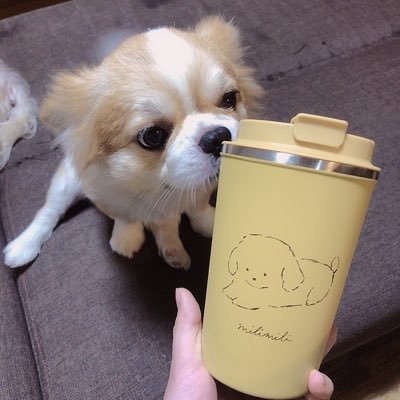 一ノ瀬じゅん