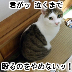 shim