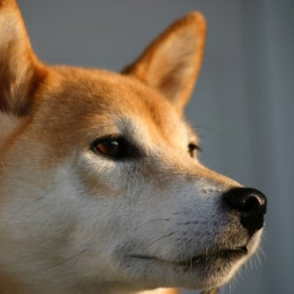 野菜