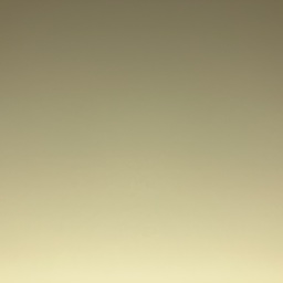 も