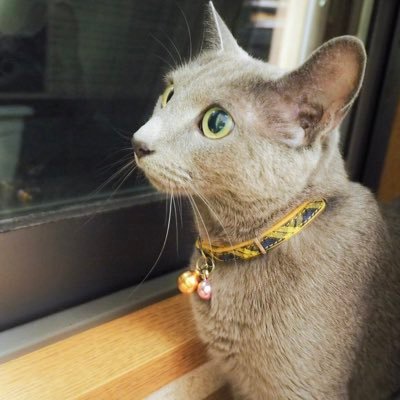 いしつか