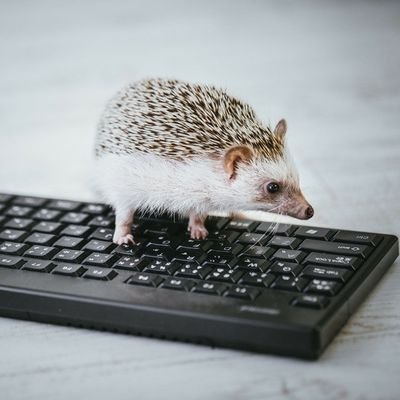 ふゆうぶつ