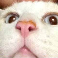 かいかい坊